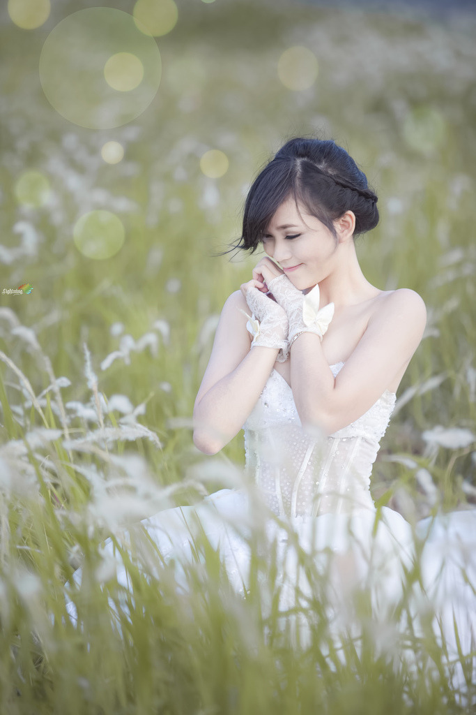 欧美女优在线播放